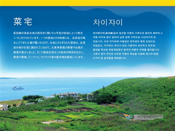 菜宅／차이쟈이 02