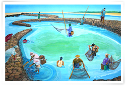 Stone weir Oceanic Culture