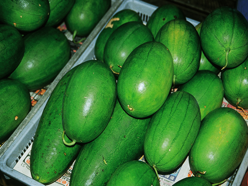 Chiapao Melon
