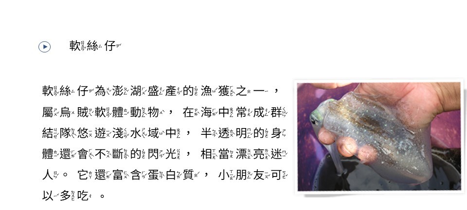 軟絲仔