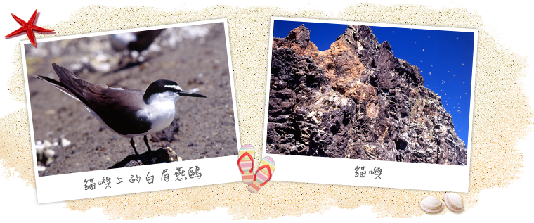 貓嶼海鳥保護區