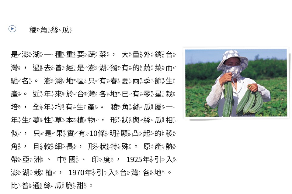 稜角絲瓜